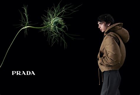 prada campaign fall 2011 men|Pictures: Prada Fall/Winter 2011 Campaign .